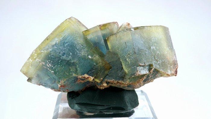 Fluoriet (gezoneerd) - El Hameda, Jorf, Anti-Atlas, Marokko, Verzamelen, Mineralen en Fossielen