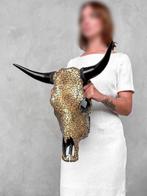 PAS DE PRIX DE RÉSERVE - Tête de bœuf authentique de grande