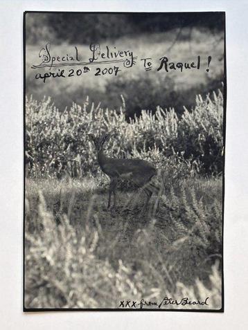 Peter Beard (1938 - 2020) - La dame des Brémaudieres #2, Antiek en Kunst