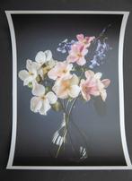 Viet Ha Tran - The soul of flowers XVII