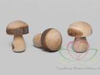 Iets grotere houten paddenstoelen 3x3. 5cm./ doosje