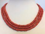 Halsketting - 14 karaat Geel goud Bloedkoraal - Bloedrode, Nieuw