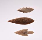 3 pointes de flèches néolithiques silex Tête de flèche (Sans
