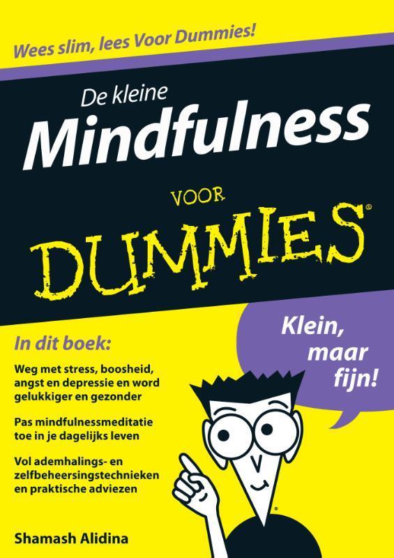 De kleine Mindfulness voor dummies / Voor Dummies, Boeken, Psychologie, Gelezen, Verzenden