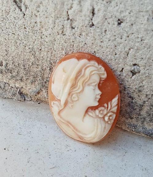 Cassis Rufa Conchiglia - Cameo - Antico van Torre Del Greco, Verzamelen, Dierenverzamelingen
