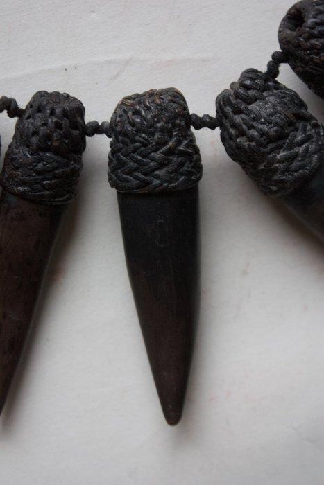 Boaya-halsketting van wildzwijnentanden met, Antiek en Kunst, Kunst | Niet-Westerse kunst