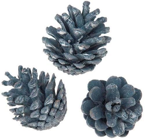 Oostenrijker dennenappel Pinus Nigra BLUE WASH 6 stuks, Hobby en Vrije tijd, Knutselen, Nieuw