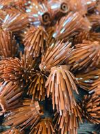 Lego - Speelgoed New Plant Prickly Bush 2 x 2 x 4 Reddish, Nieuw