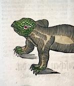 Conrad Gesner (1516-1565)  - Crocodiles, reptiles, folio, Antiek en Kunst