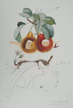 Salvador Dali (1904-1989) - Flordali, Fruits troués et, Antiquités & Art