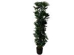 Veiling - 2x Kunstplant Schefflera Tree 140 cm