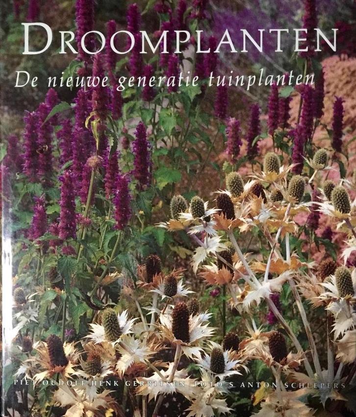 DROOMPLANTEN 9789062554843 Oudolf, Boeken, Hobby en Vrije tijd, Zo goed als nieuw, Verzenden