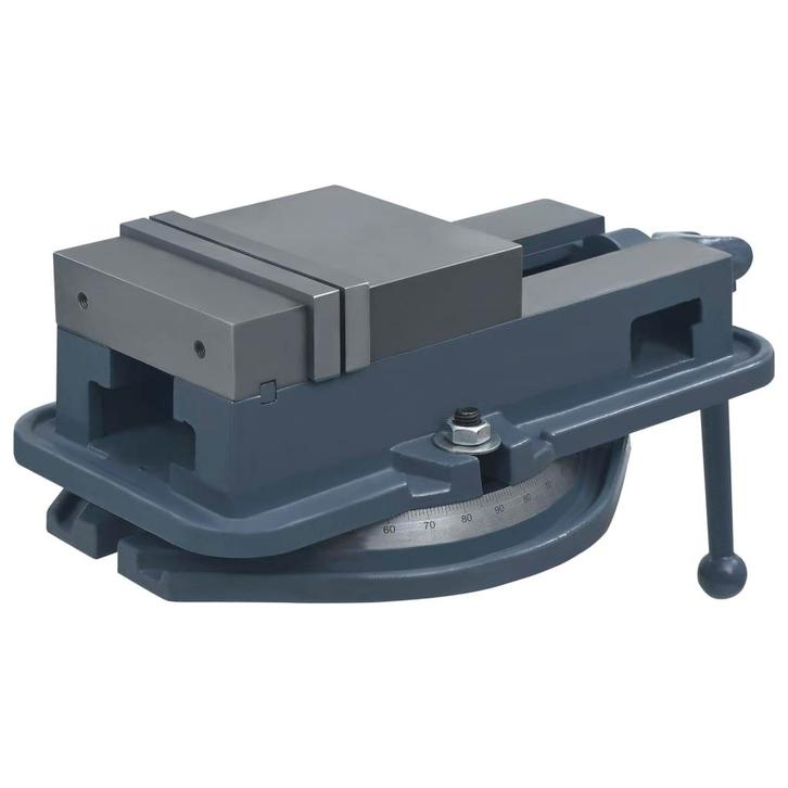 vidaXL Bankschroef draaibaar 160 mm gietijzer, Doe-het-zelf en Bouw, Gereedschap | Handgereedschap, Nieuw, Verzenden