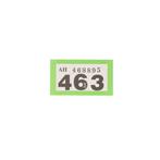 King & Country - World War II - Waffen SS - Figuur - WS109, Nieuw