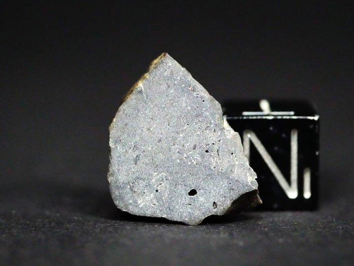Maan meteoriet gesmolten breccia volledige doorsnede NWA, Verzamelen, Mineralen en Fossielen
