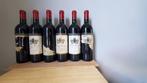 1996 Chateau Terre Noire - Lalande-de-Pomerol - 6 Flessen, Verzamelen, Nieuw