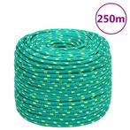 vidaXL Boottouw 10 mm 250 m polypropyleen groen, Verzenden, Nieuw