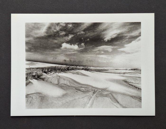 Vincent Monthiers - Le Cap Ferret, dunes, Antiek en Kunst, Kunst | Designobjecten