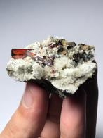 Natuurlijke brookiet-geëindigde kristallen op een matrix