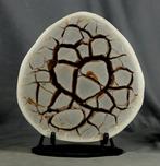 Grote septarische knol op standaard Ei - Hoogte: 31 cm -