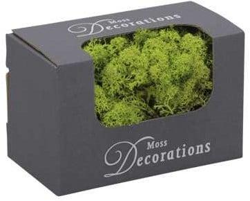 Rendiermos ijslandsmos finlandsmos lentegroen 50 gram, Hobby & Loisirs créatifs, Bricolage