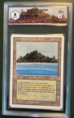 Wizards of The Coast - 1 Card - Magic: The Gathering -, Hobby & Loisirs créatifs