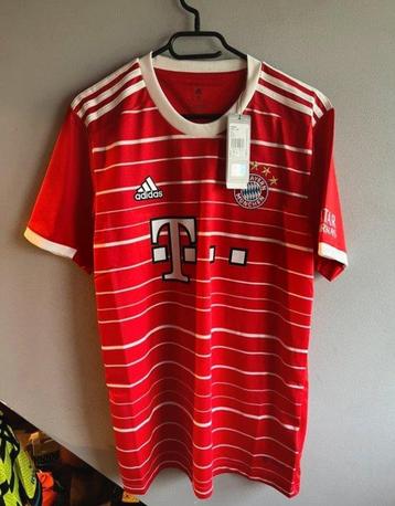 FC Bayern München - Championnat dAllemagne de Football -