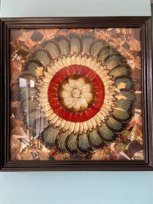 Lijst- Prachtig schilderij met vleugels van vlinders  - Hout, Verzamelen, Dierenverzamelingen