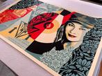 Shepard Fairey (OBEY) (1970) - Raise The Level