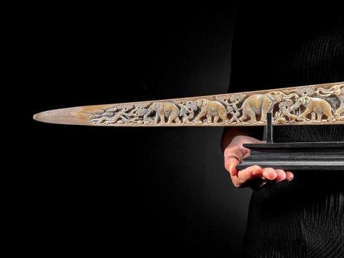 PRIX NON RÉSERVÉ - Énorme dorsal de poisson-scie finement, Antiek en Kunst, Kunst | Designobjecten
