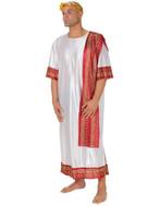 Griekse toga voor heren, Ophalen of Verzenden, Nieuw