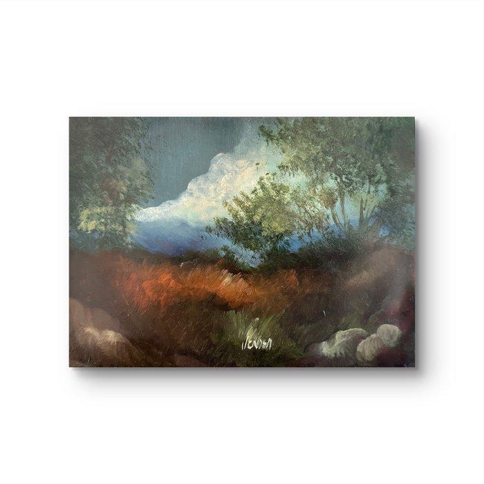 Vender (XX) - Paesage - NO RESERVE, Antiek en Kunst, Kunst | Schilderijen | Klassiek