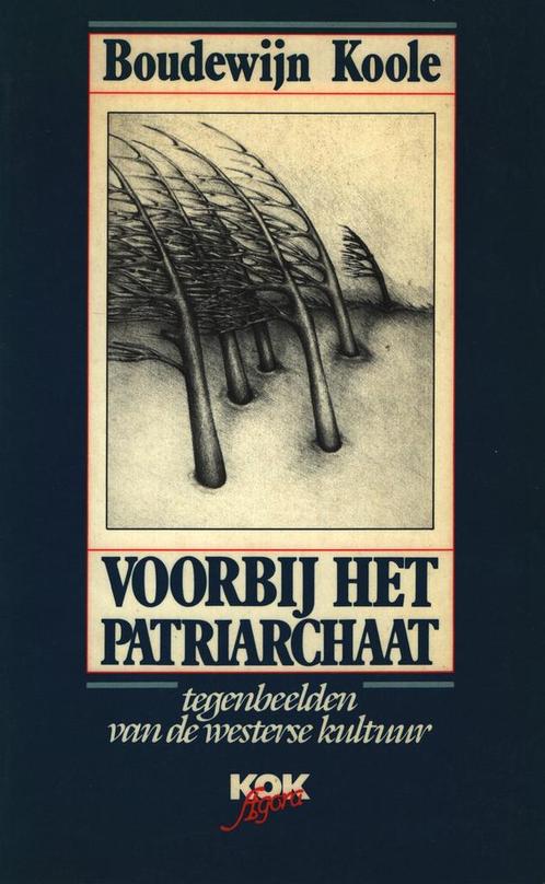 Voorbij het patriarchaat 9789024276462 Boudewijn Koole, Boeken, Filosofie, Gelezen, Verzenden