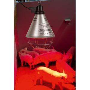 Protecteur lampe chauffage avec câble 2,50m, Articles professionnels, Agriculture | Aliments pour bétail