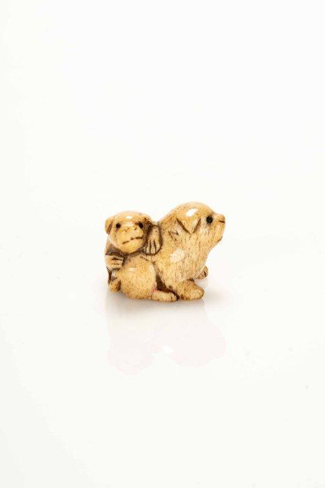 Een fijne en zachte hertenantler netsuke waarop twee puppys, Antiek en Kunst, Antiek | Overige Antiek