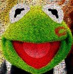 David Law (1967) - Crypto Muppets Love Story - Muppets
