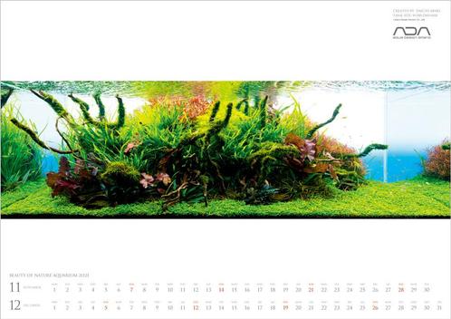 ADA Nature Aquarium kalender 2022, Animaux & Accessoires, Poissons | Aquariums & Accessoires, Envoi