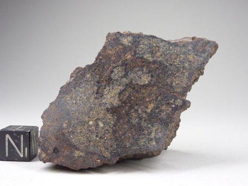 NWA 13284 - Masse principale - H5 Météorite - 108.6 g, Verzamelen, Mineralen en Fossielen