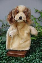 steiff: hanpop cocker spaniel, 1959, EAN 0317.00  - Pop -, Antiek en Kunst