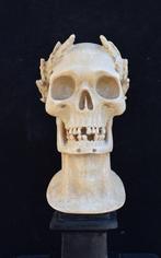 sculptuur, Teschio di Vanitas - 6 kg - 38 cm - Herstel van