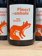 2022 Tony Bornard Pinoctambule - Jura - 6 Bouteilles (0,75, Verzamelen, Wijnen, Nieuw