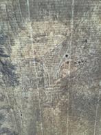 Nederlandse school (XVII) - Landschap met bomen en rivier
