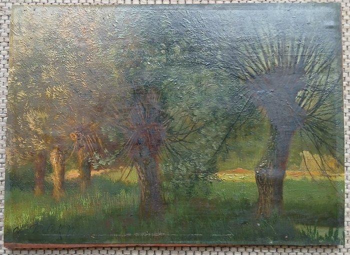 Cesar de Cock (1823-1904) - Zomers licht in knotwilgen -, Antiek en Kunst, Kunst | Schilderijen | Klassiek
