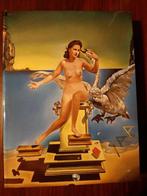 DALI. HET GESCHILDERDE WERK (2 DELEN) 9783822806272, Boeken, Verzenden, Gelezen, Robert Descharnes