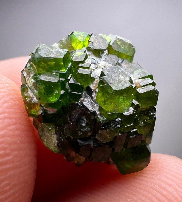 10,6 karaat. Zeldzame volledig getermineerde groene, Verzamelen, Mineralen en Fossielen