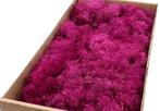 Rendiermos IJslandsmos Finlandsmos Fuchsia 500 gram