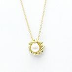 Tiffany & Co. - Collier avec pendentif - 18 carats Or jaune