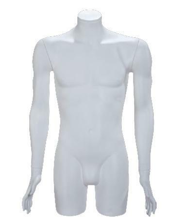 *TIP*  Plastic collection torso 3/4 model heer wit H2110-01, Articles professionnels, Aménagement de Bureau & Magasin | Commerce & Inventaire