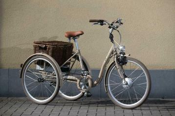 Driewielfiets Volwassen