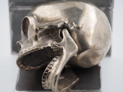 Religieus Barok / Gotisch Vanitas Schedel Dood Grand Tour, Verzamelen, Dierenverzamelingen